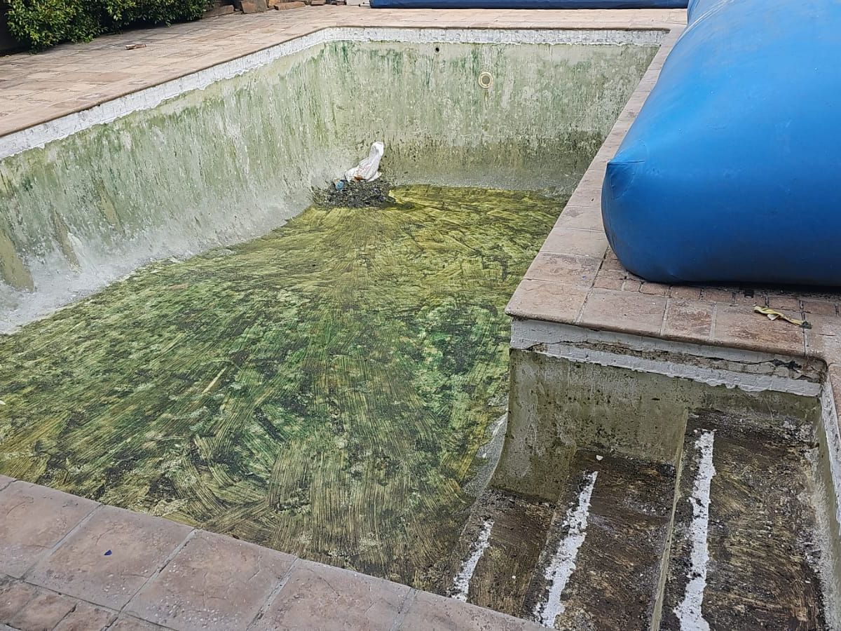 Old pool with algae and worn surface before re-plastering