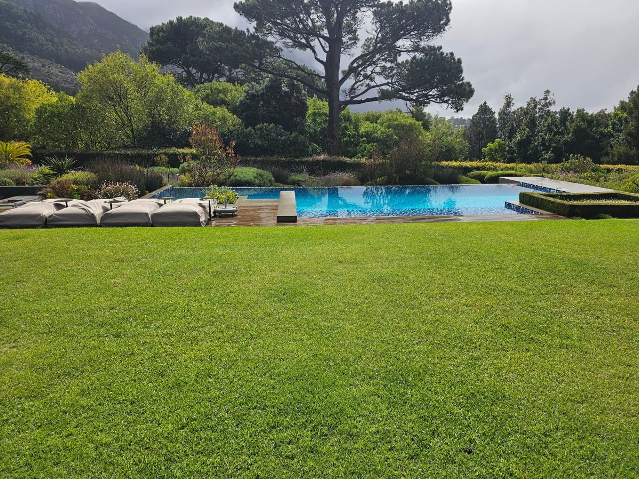 Infinity pool bordered by lawn with mountain views