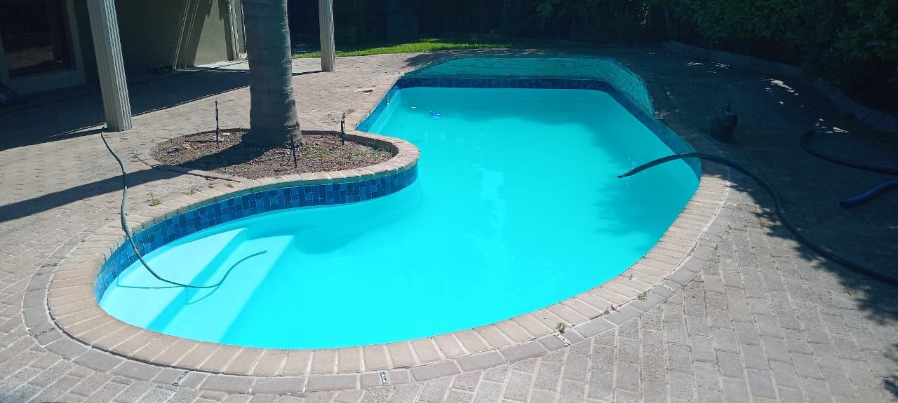 Renovated kidney-shaped pool around a palm tree